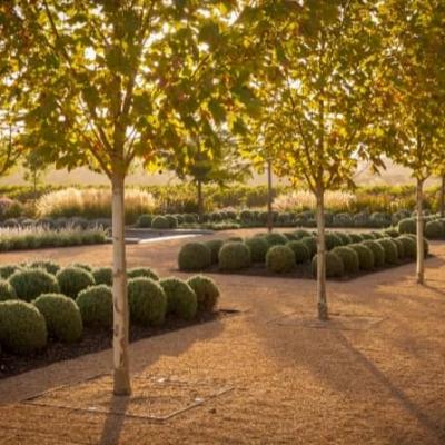 Award Winning Adelaide Landscaper 10