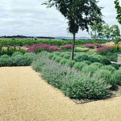 Award Winning Adelaide Landscaper 15